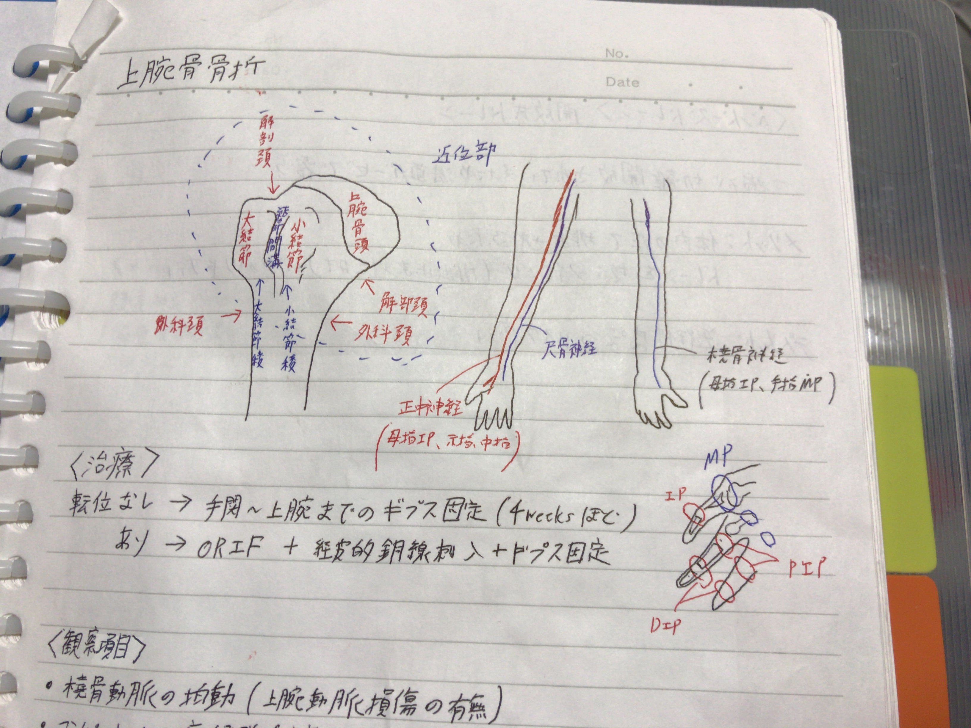 ムスリム看護師まゆみが行く世界の今